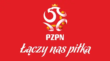Kolegium Sędziów odpowiedziało Wiśle Kraków. Koniec dyskusji